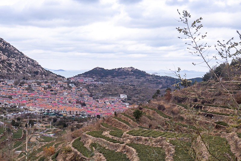 青島去壩上旅游團？青島去壩上旅游團價格